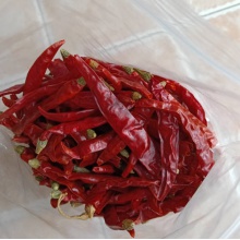 超辣辣椒印度魔鬼辣椒500克香辣